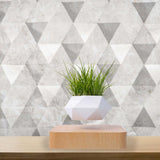 NNEDSZ Magnetic Levitating Plant Pot (Light Brown Base)