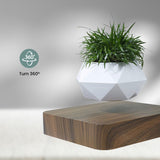 NNEDSZ Magnetic Levitating Plant Pot Dark Brown Base