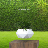 NNEDSZ Magnetic Levitating Plant Pot Dark Brown Base