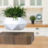 NNEDSZ Magnetic Levitating Plant Pot Dark Brown Base