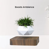 NNEDSZ Magnetic Levitating Plant Pot Dark Brown Base