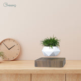 NNEDSZ Magnetic Levitating Plant Pot Dark Brown Base