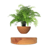NNEDSZ Magnetic Levitating Plant Pot Oak
