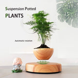 NNEDSZ Magnetic Levitating Plant Pot Oak