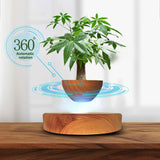 NNEDSZ Magnetic Levitating Plant Pot Oak