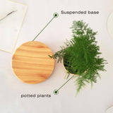 NNEDSZ Magnetic Levitating Plant Pot Oak
