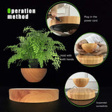 NNEDSZ Magnetic Levitating Plant Pot Oak