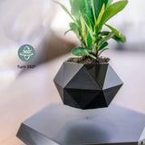 NNEDSZ Magnetic Levitating Plant Pot Black