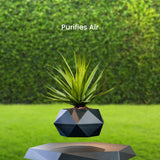NNEDSZ Magnetic Levitating Plant Pot Black