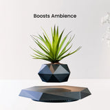 NNEDSZ Magnetic Levitating Plant Pot Black
