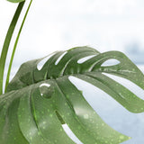 NNEDSZ Gominimo Artificial Monstera 150cm