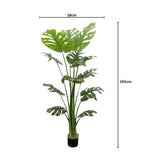NNEDSZ Gominimo Artificial Monstera 150cm