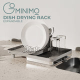 NNEDSZ Expandable Dish Drying Rack with Removable Cutlery Drainer and Utensils Holder (Black)