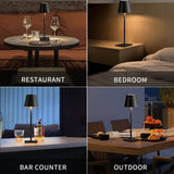 NNEDSZ Rechargeable Cordless Table Lamp with Stepless Dimming Brightness (Black)