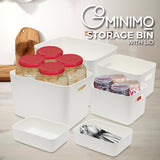 NNEDSZ 6 Pieces Plastic Storage Bins with 4 Lids (Beige)