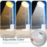 NNEDSZ Desk Lamp With Pen And Phone Holder (White)