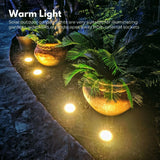 NNEDSZ 12 Pack Waterproof Solar LED Light (Warm)
