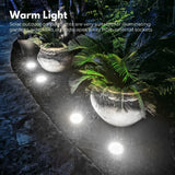 NNEDSZ 12 Pack Waterproof Solar LED Light (White)