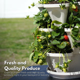NNEDSZ 5 Tier Stacking Planter Vertical Garden with Heavy Duty Trolley Wheels (45cm)