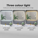 NNEDSZ LED Bathroom Mirror HB-BM-100-J