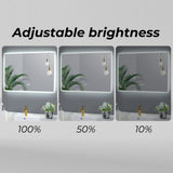 NNEDSZ LED Bathroom Mirror HB-BM-100-J
