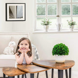 NNEDSZ Industrial Nesting Coffee Table Rustic Brown and Black