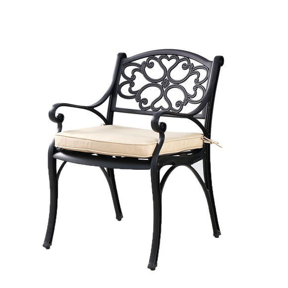 NNEDSZ MARCO ALUMINIUM CHAIR(one pair)