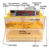 NNEDSZ Electric 112 Egg Incubator + Accessories Hatching Eggs Chicken Quail Duck