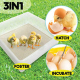 NNEDSZ Electric 112 Egg Incubator + Accessories Hatching Eggs Chicken Quail Duck