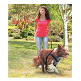 NNEDSZ XL Dog Harness 2 in 1 Combo - Car Travel Rides + Walks - No Pull Leash Seat Belt