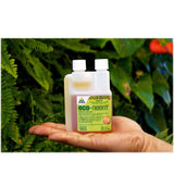 NNEDSZ 100ml Eco Neem Oil Botanical Organic Insecticide Econeem Sucking Lawn Grubs Pest