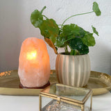 NNEDSZ 12V 12W 1-2 Kgs Himalayan Pink Salt Lamp Natural Rock Crystal Light Bulb On/Off