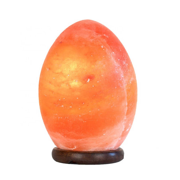NNEDSZ 12V 12W Egg Himalayan Pink Salt Lamp Carved Rock Crystal Light Bulb On/Off Switch