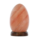 NNEDSZ 12V 12W Egg Himalayan Pink Salt Lamp Carved Rock Crystal Light Bulb On/Off Switch