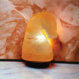NNEDSZ 12V 12W Horse Himalayan Pink Salt Lamp Carved Knight Rock Crystal Light Bulb On/Off