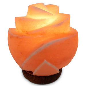 NNEDSZ 12V 12W Rose Himalayan Pink Salt Lamp Carved Flower Rock Crystal Light Bulb On/Off