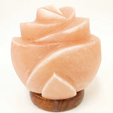 NNEDSZ 12V 12W Rose Himalayan Pink Salt Lamp Carved Flower Rock Crystal Light Bulb On/Off