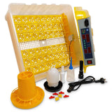 NNEDSZ Electric 48 Egg Incubator + Accessories Hatching Eggs Chicken Quail Duck