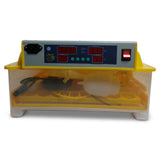 NNEDSZ Electric 48 Egg Incubator + Accessories Hatching Eggs Chicken Quail Duck