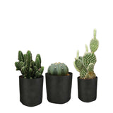 NNEDSZ 6 Pck 1 Gallon Fabric Flower Pots 3.8L Garden Planter Bags Black Felt Root Pouch