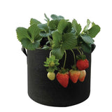 NNEDSZ 6 Pck 10 Gallon Fabric Flower Pots 38L Garden Planter Bags Black Felt Root Pouch