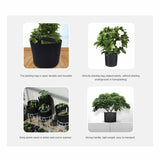 NNEDSZ 6 Pck 10 Gallon Fabric Flower Pots 38L Garden Planter Bags Black Felt Root Pouch
