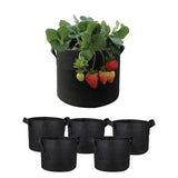 NNEDSZ 6 Pck 5 Gallon Fabric Flower Pots 19L Garden Planter Bags Black Felt Root Pouch