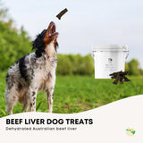 NNEDSZ 1Kg Dog Treat Beef Liver Pieces Bucket - Dehydrated Australian Healthy Puppy Chew