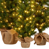 NNEDSZ Christabelle Set of 3 Pre-Lit Christmas Trees Green Pine w/LED Lights, Hessian Base & Individual Plugs Varying Heights