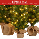 NNEDSZ Christabelle Set of 3 Pre-Lit Christmas Trees Green Pine w/LED Lights, Hessian Base & Individual Plugs Varying Heights