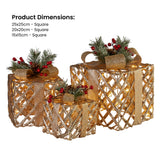 NNEDSZ Swishmas Set of 3 Christmas Gift Boxes Display With Lights in Champagne and Gold