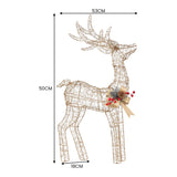 NNEDSZ Christabelle Light Up Christmas Reindeer Display Indoor & Outdoor Decoration Warm White LED Lights Gold Bow Wire Frame