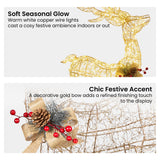 NNEDSZ Christabelle Light Up Christmas Reindeer Display Indoor & Outdoor Decoration Warm White LED Lights Gold Bow Wire Frame