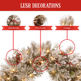 NNEDSZ Christabelle 61cm Snowy Christmas Wreath Bedford with LED Lights Front Door Decoration Ornament